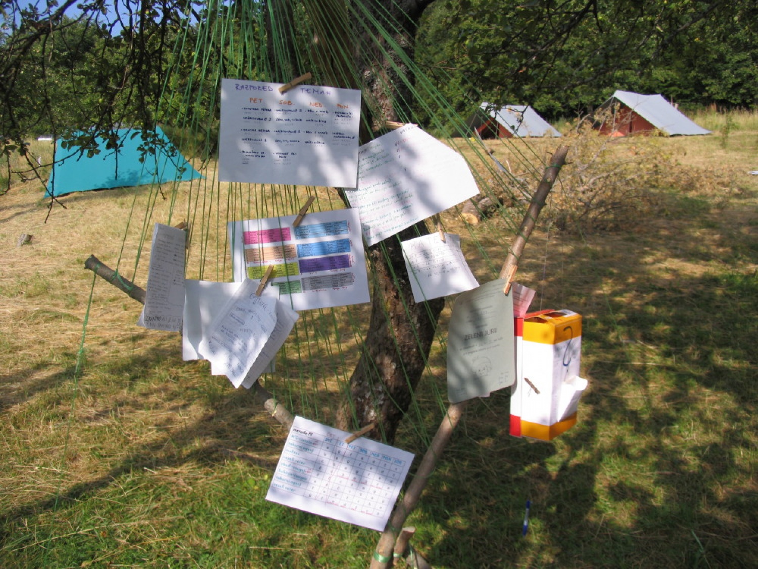 Pestro dogajanje na taborni šoli se je začelo s postavljanjem tabornih zgradb in nadaljevalo zanimivimi temami, katehezami, potepom, veliko igro ...