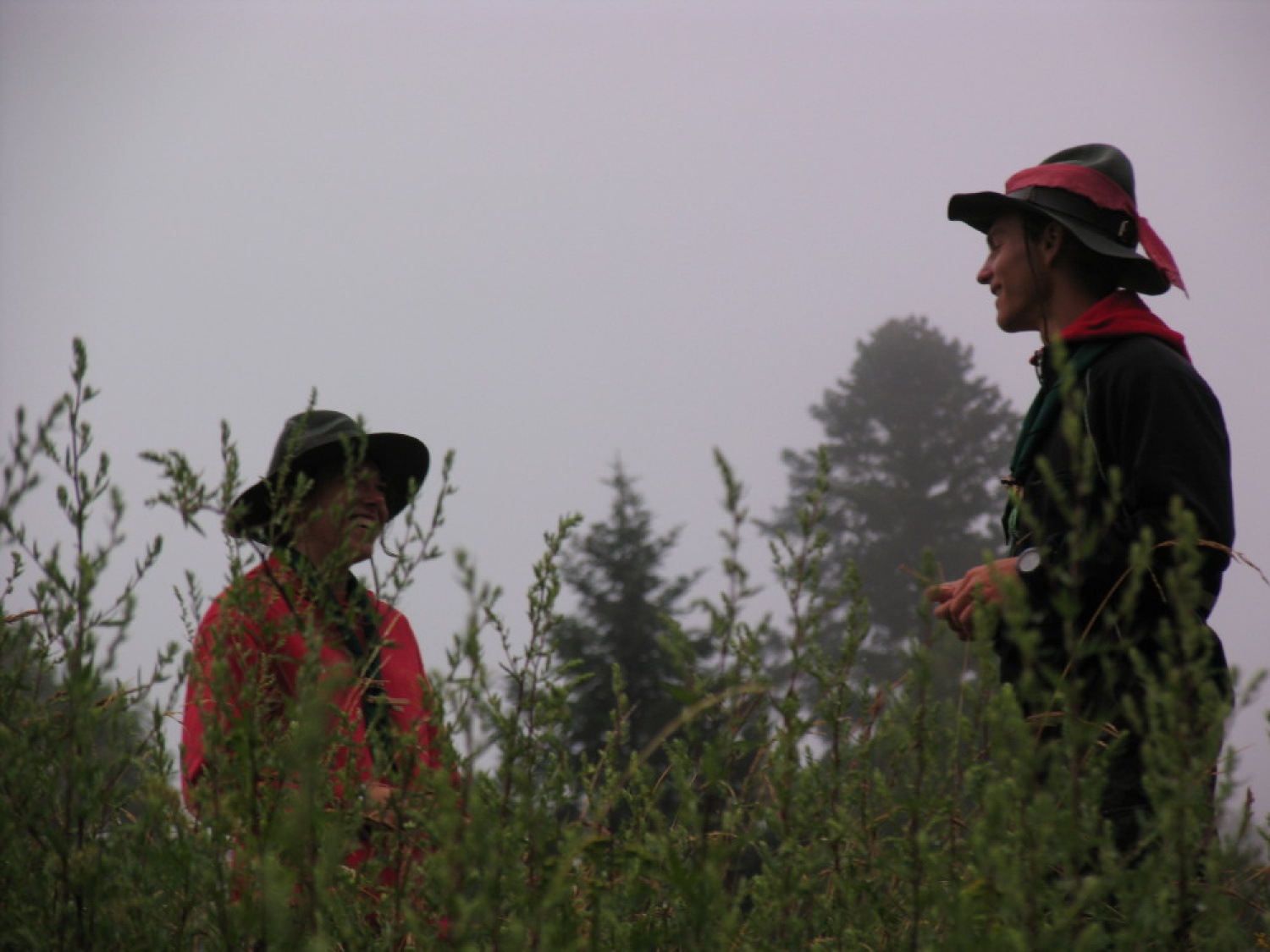 Pestro dogajanje na taborni šoli se je začelo s postavljanjem tabornih zgradb in nadaljevalo zanimivimi temami, katehezami, potepom, veliko igro ...
