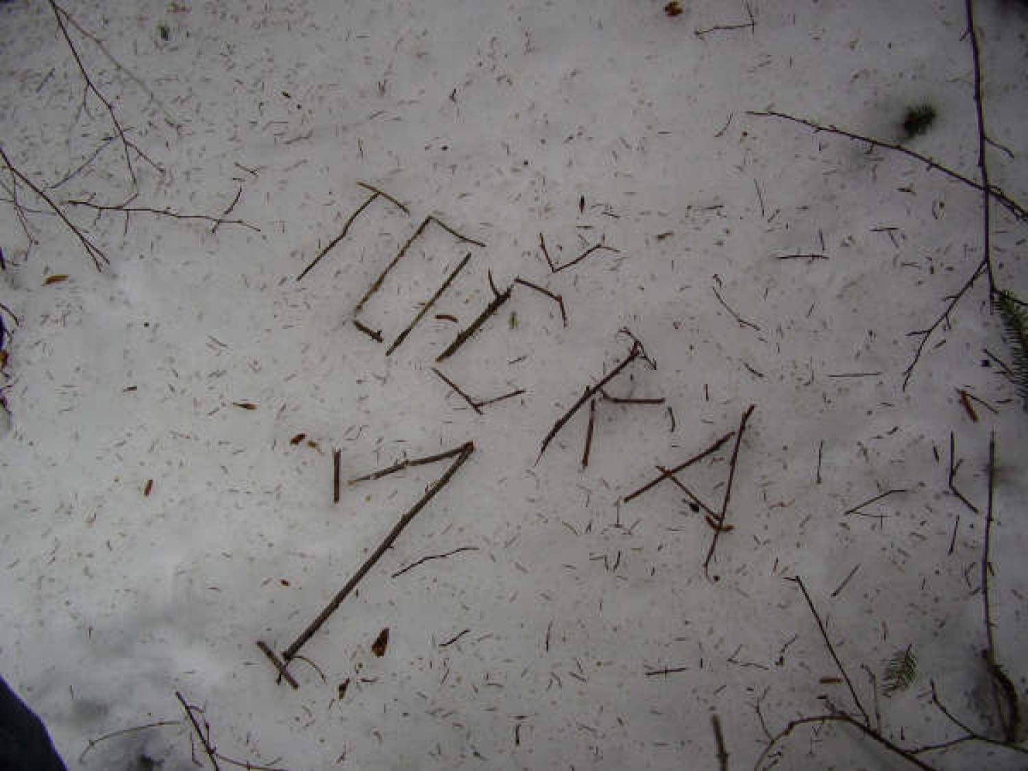 Naredila se je sama ;)