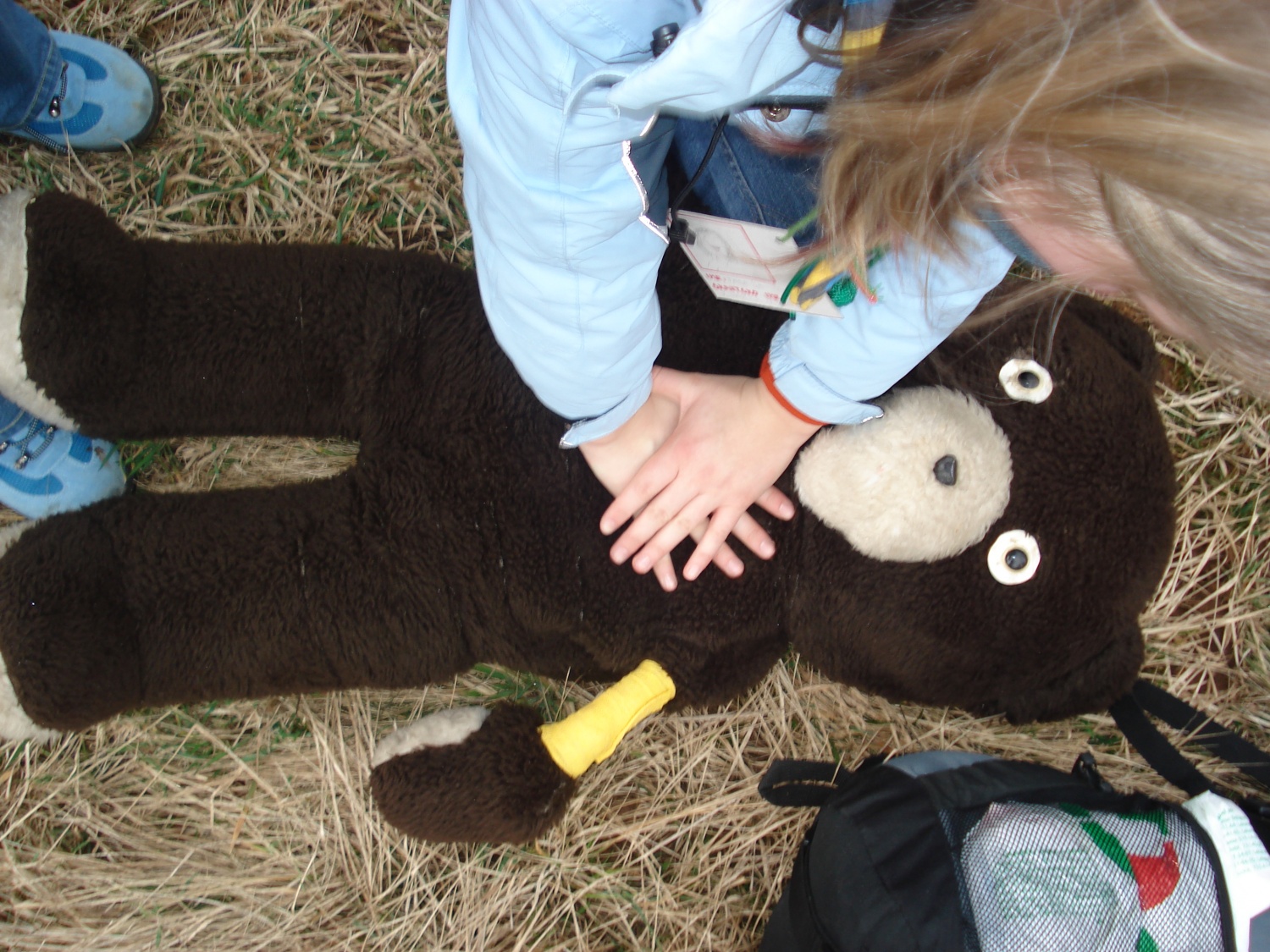 Izvidnik oživljajoč medveda