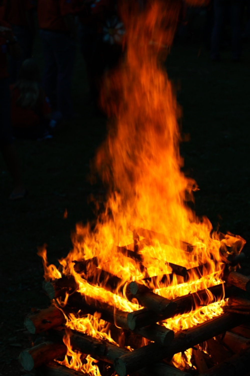 Praznovanje stoletnice skavtstva - demo4