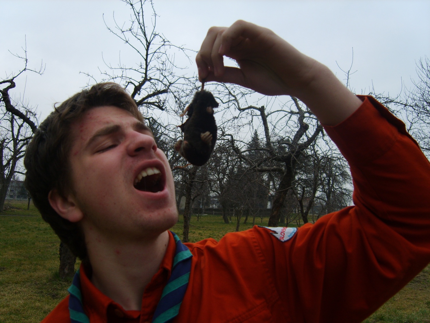 Pohorje na ekspres ;).