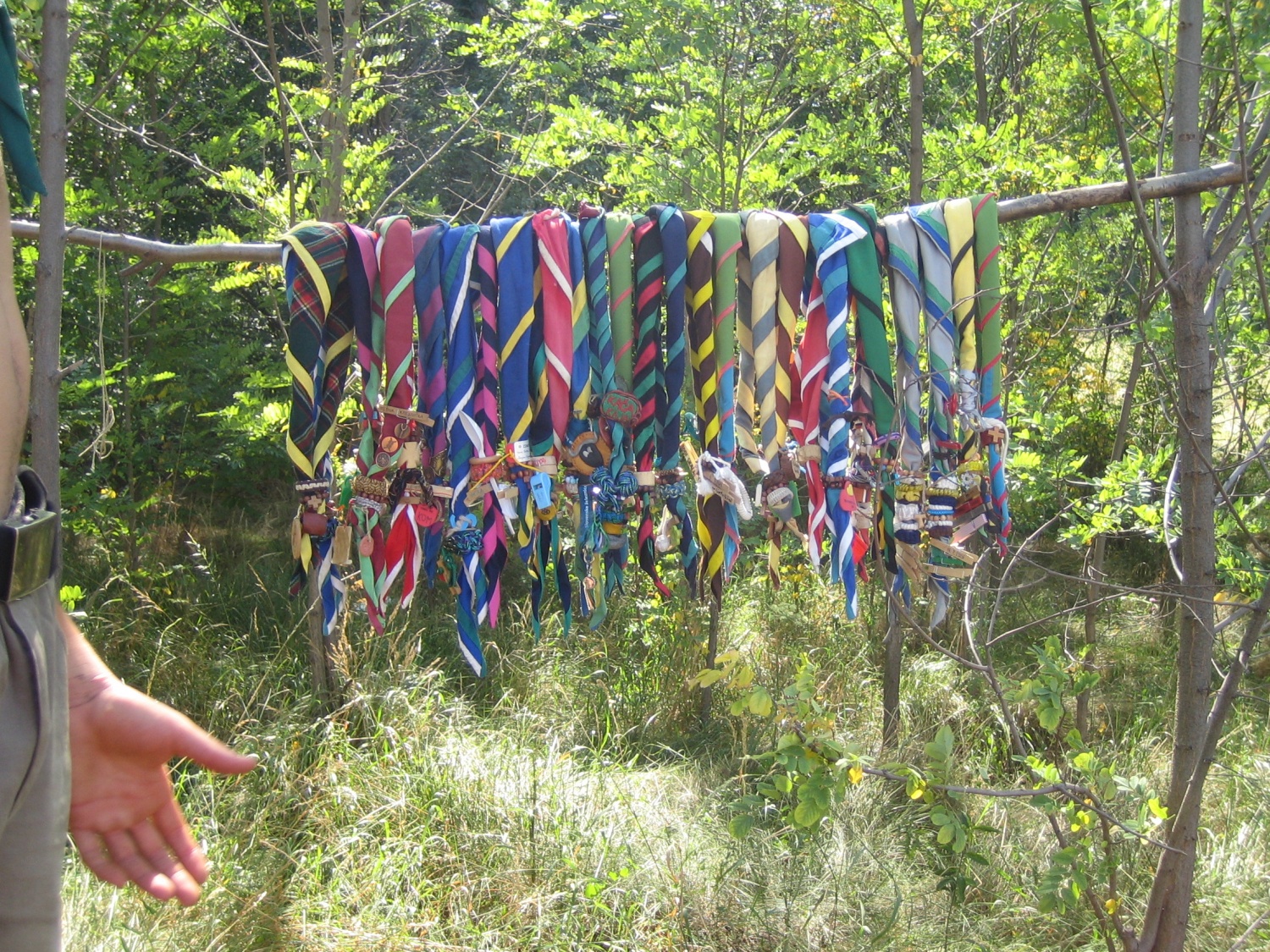 Skupni dnevi skavtov iz vse Slovenije na taborni šoli bodoči voditelj 1.