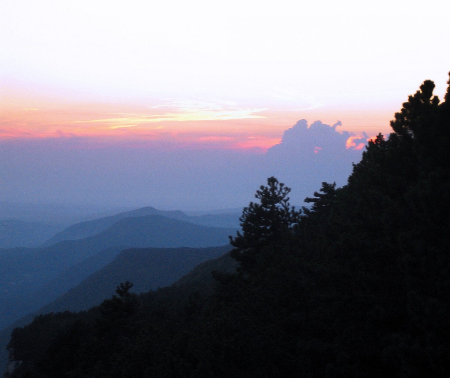 Skupni dnevi skavtov iz vse Slovenije na taborni šoli bodoči voditelj 1.