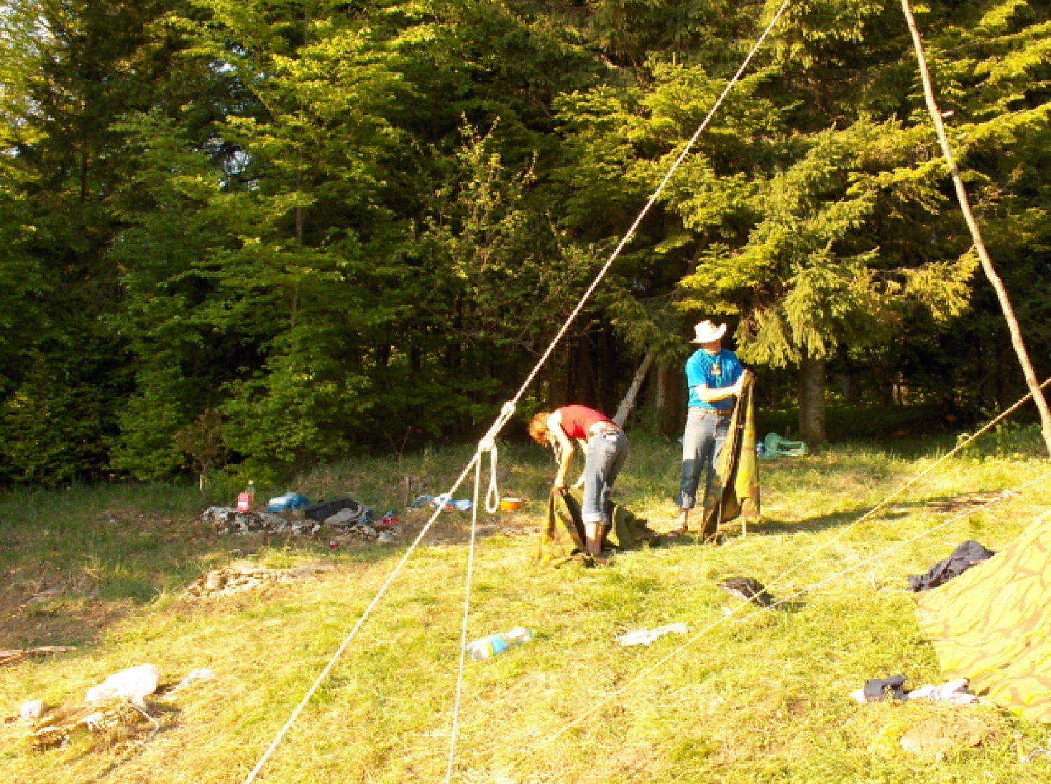 Postavljanje vzorčnega bivaka.