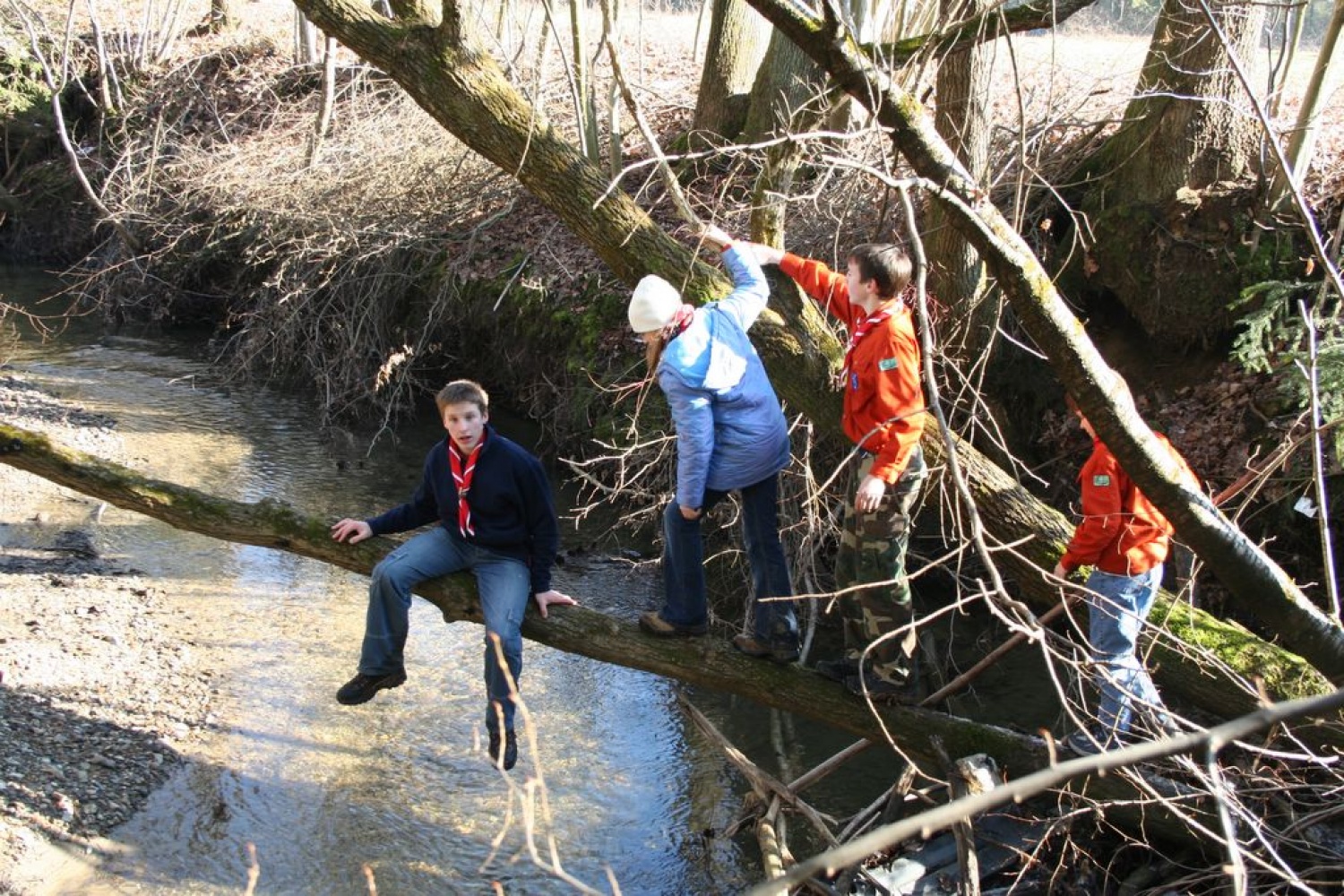 Mini, "demo" galerijica slik z uprizoritve naseljencev travnika Makote komende 1, 2007.