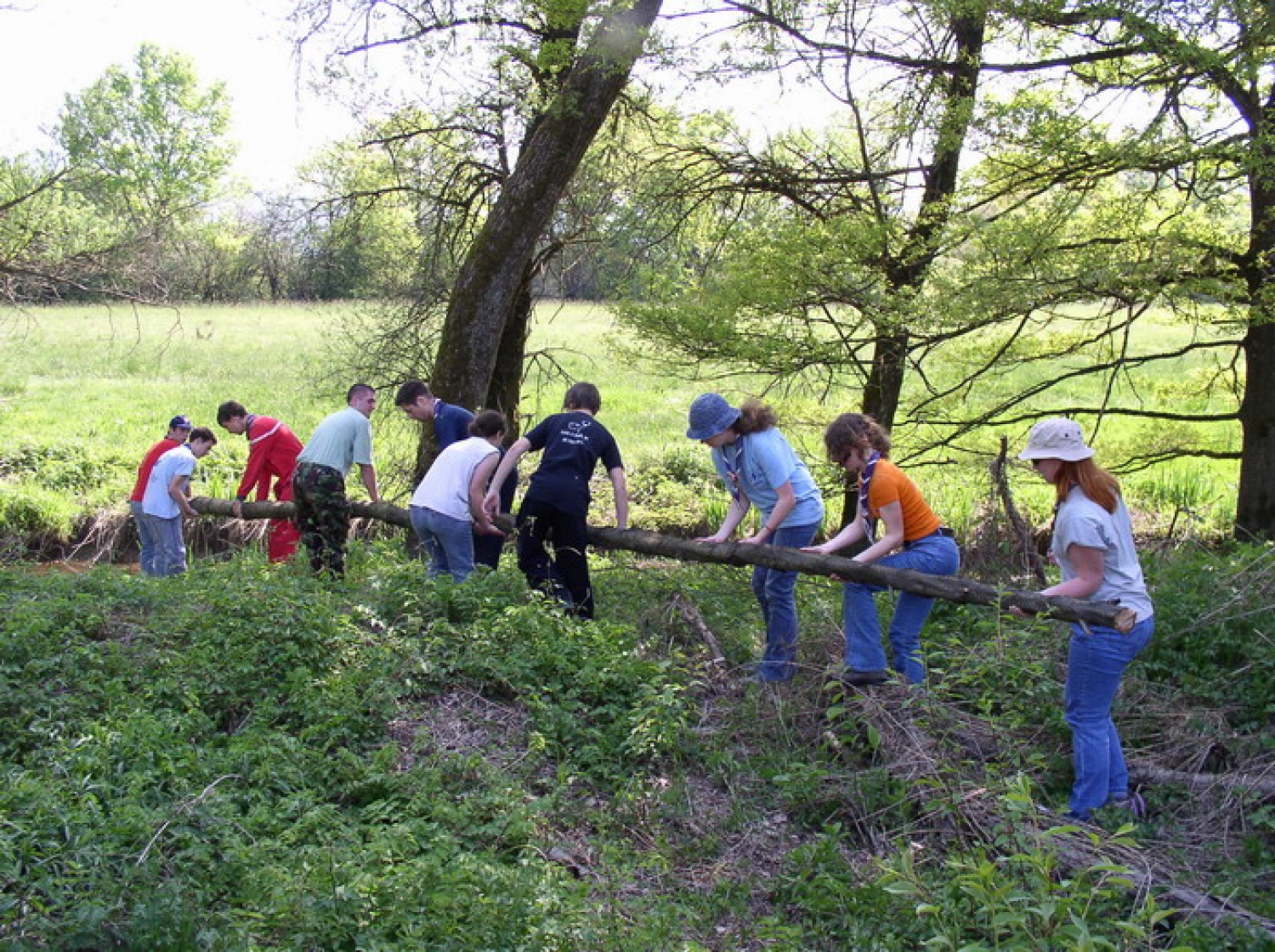Kako so tekle priprave na Divjo jago 2007