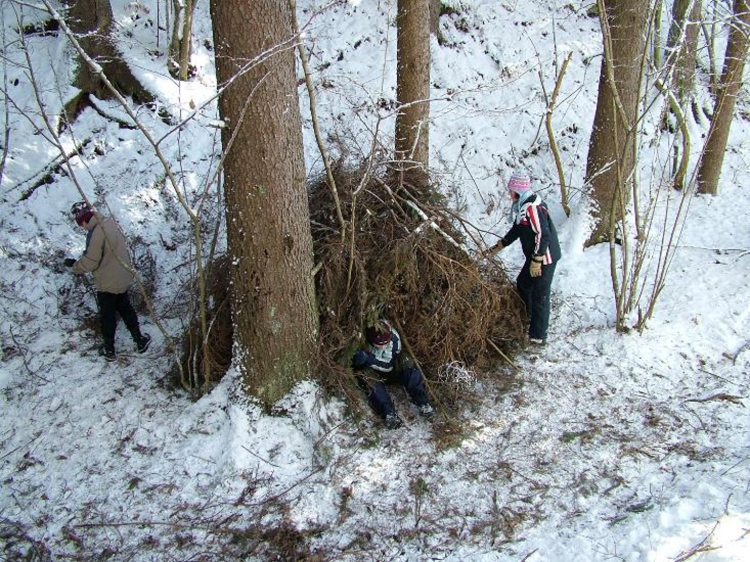 Slike bivakov in narave.