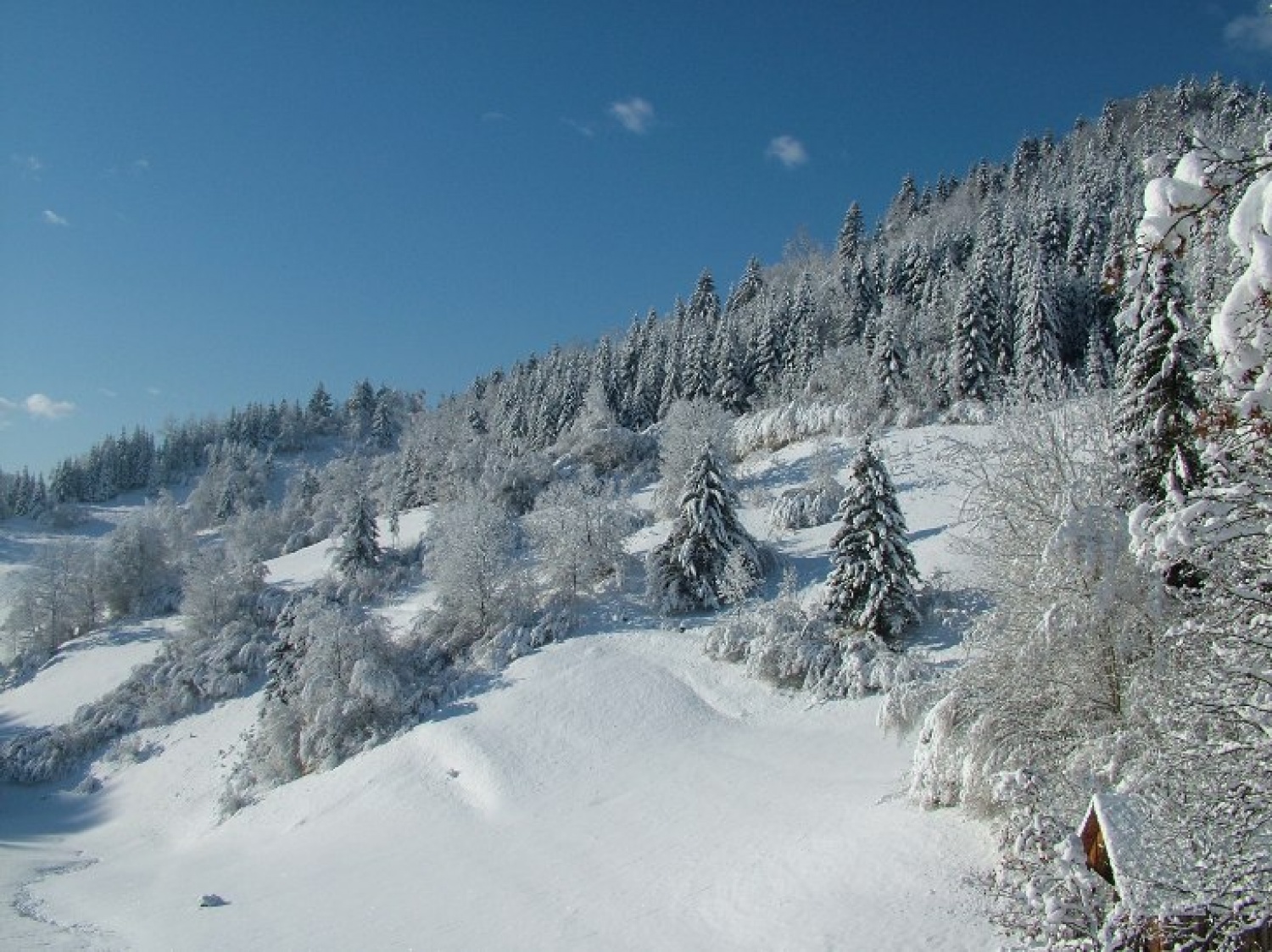 Slike bivakov in narave.