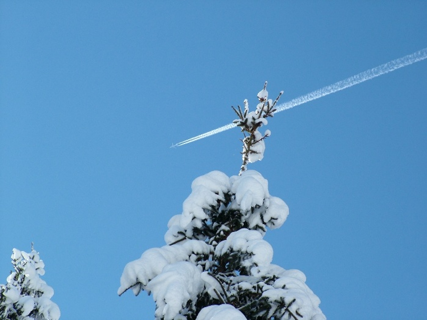 Slike bivakov in narave.