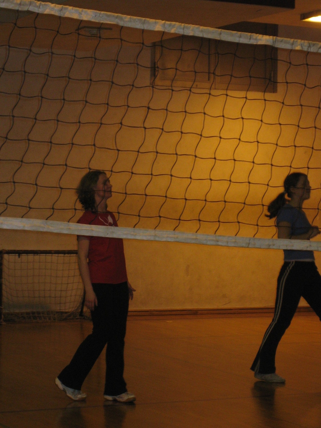 Slike iz prvega ˝treninga˝ odbojke v Mariboru.