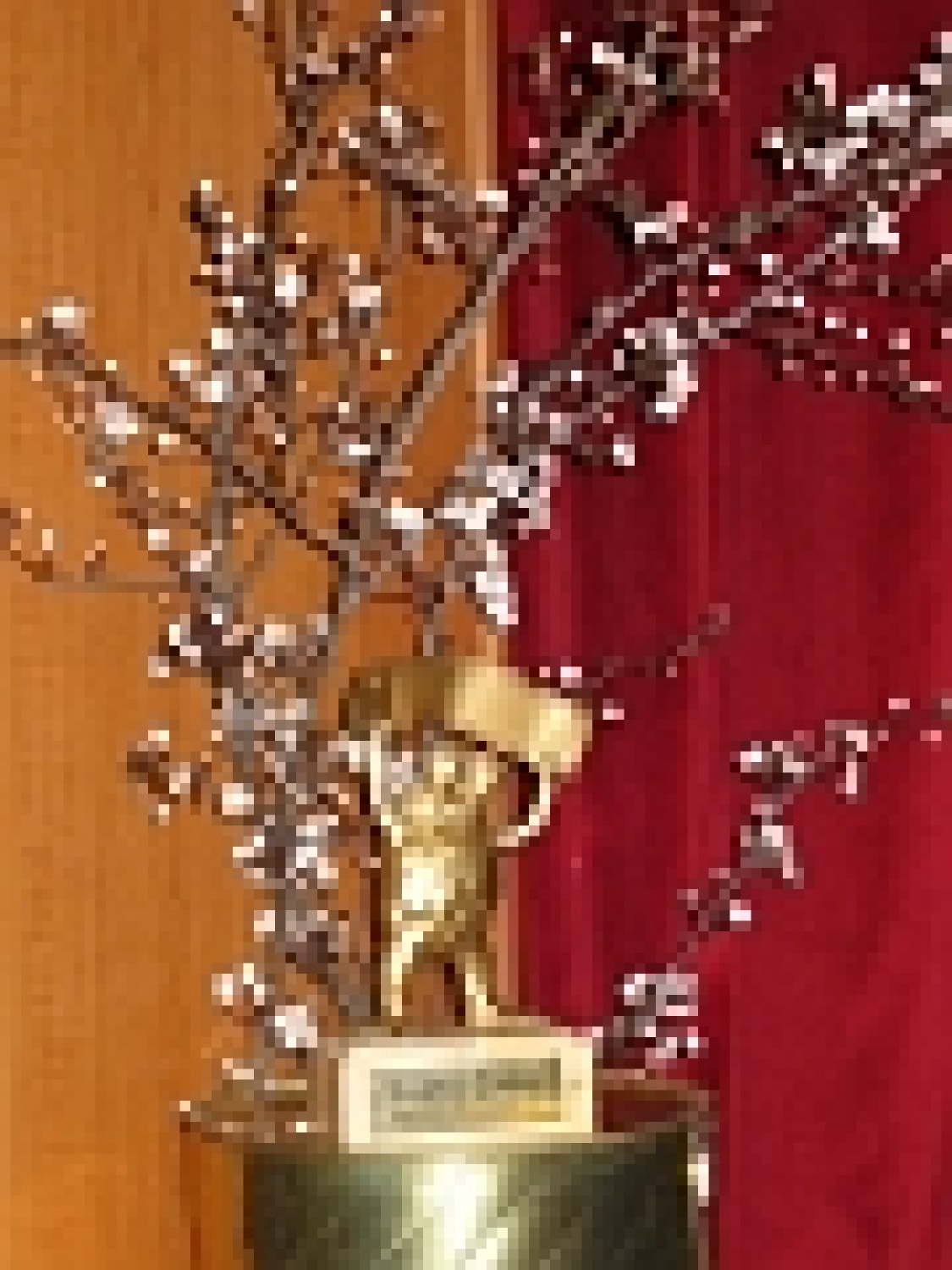 Kratek pregled zgodovine Zlate žabe