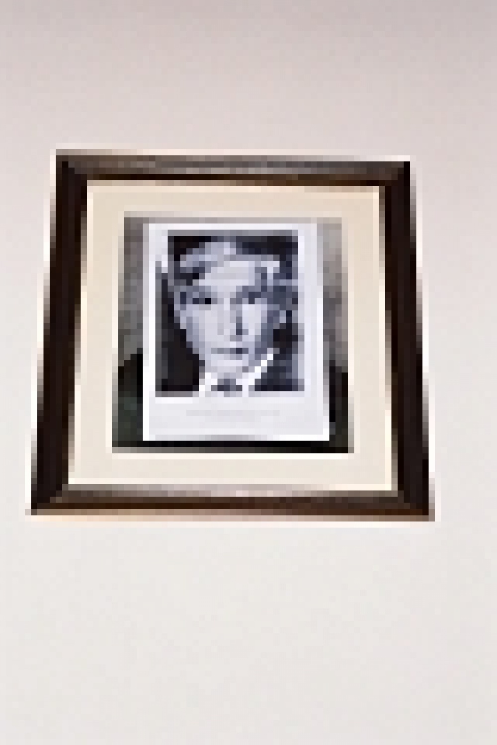 Kratek pregled zgodovine Zlate žabe