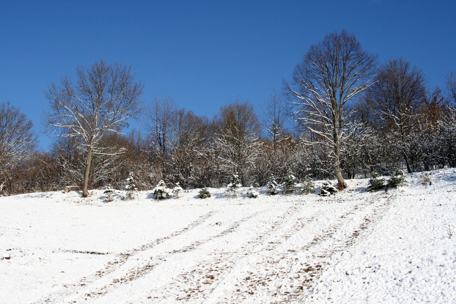 Klan iz Cerknice 1 si da duška na snegu.