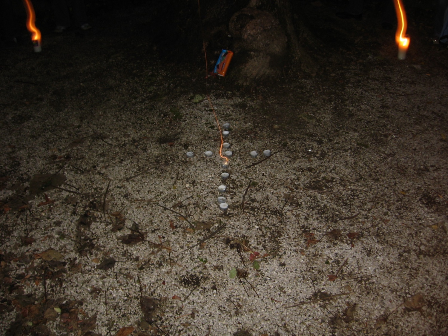 Tudi četa Polhov (skavtske skupine Novo mesto 1) je v polnem zagonu.