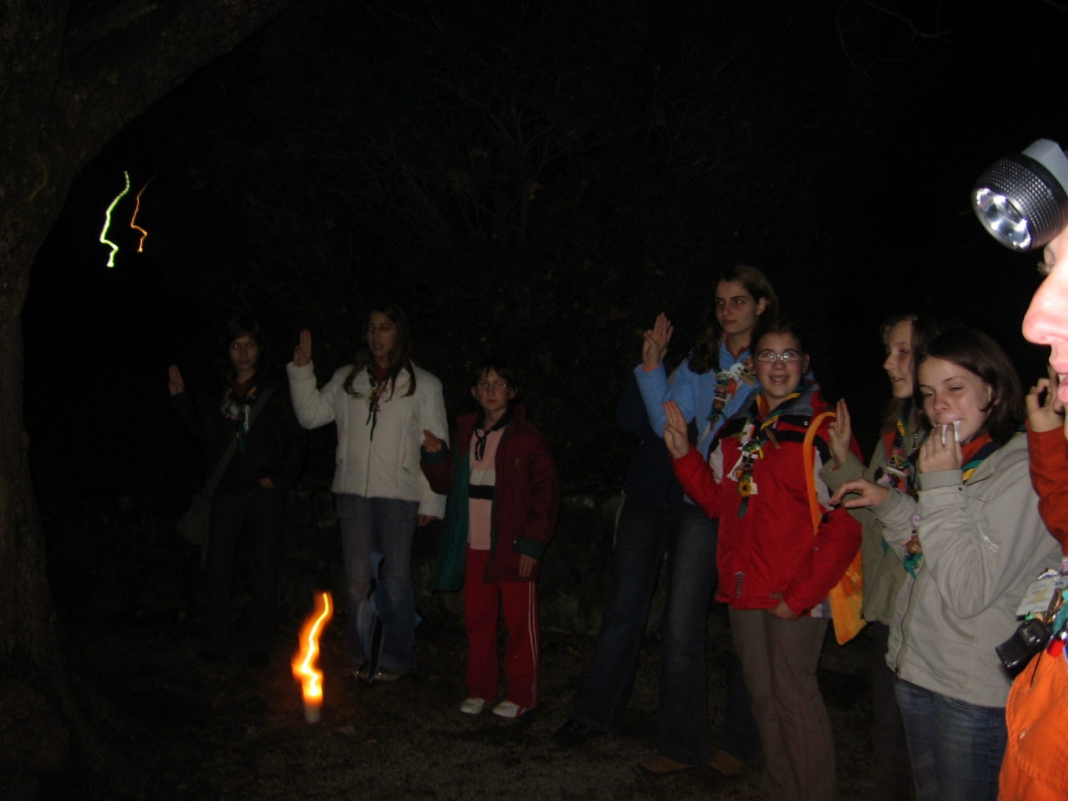 skavtska drža v pozdrav