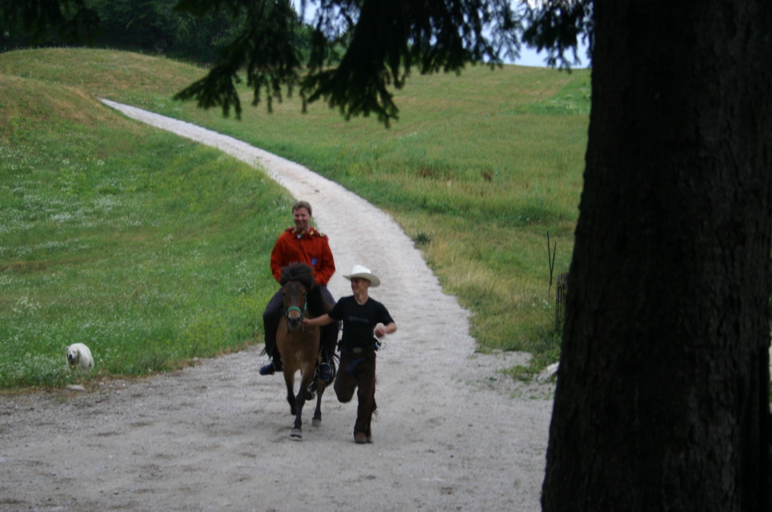 Potovalna skupnost Plavajoče podgane je končno izvedla refleksijo o letošnjem taobu voditeljev. Kje, kdaj, kako?