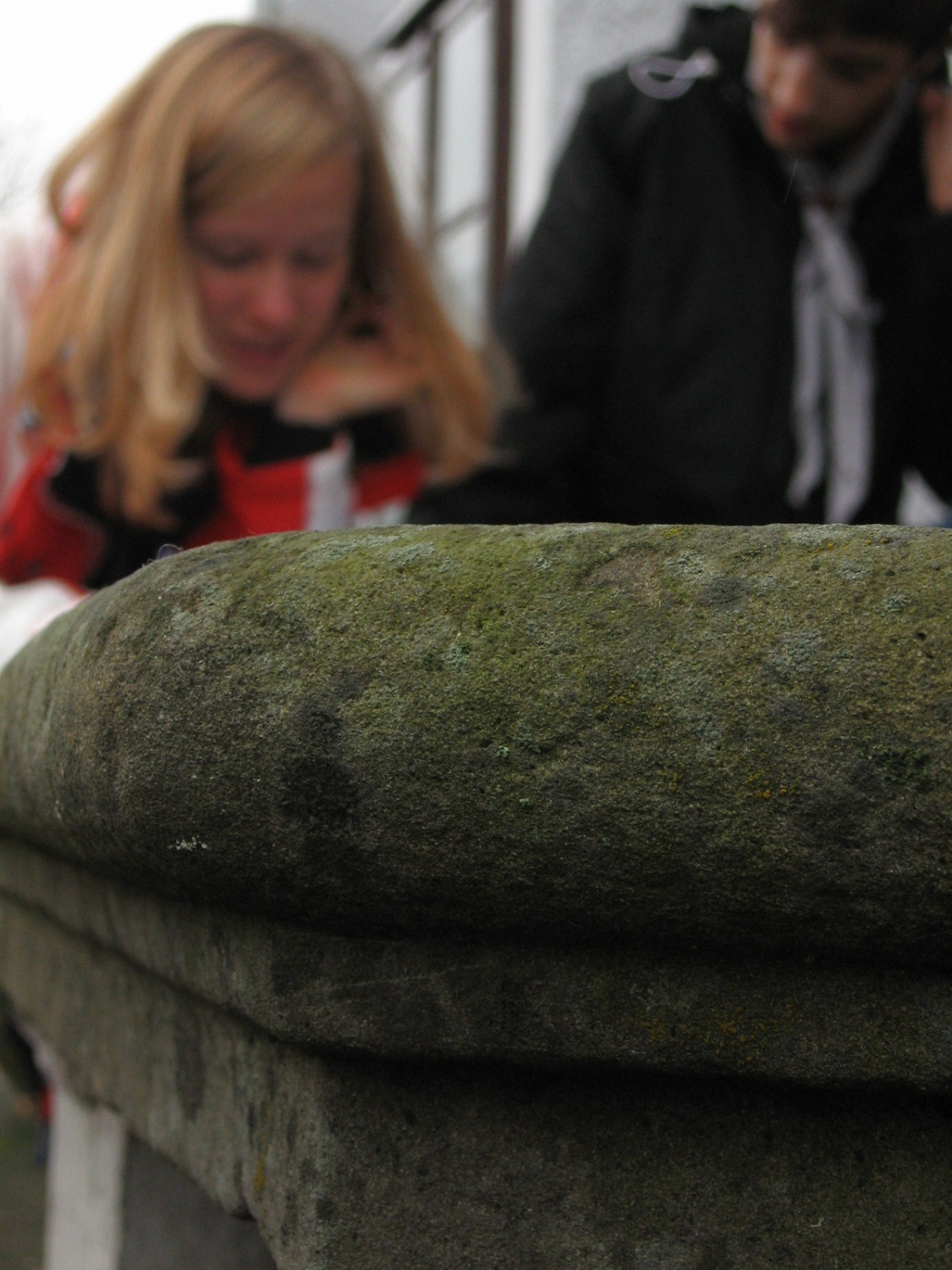 Tukaj je nastajal članek