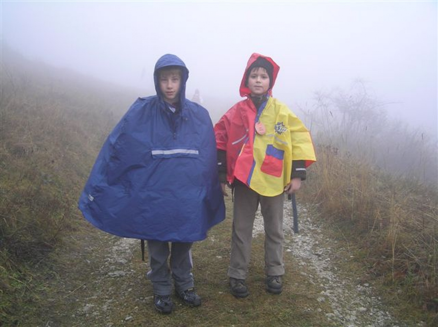 Megla je vedno gostejša.