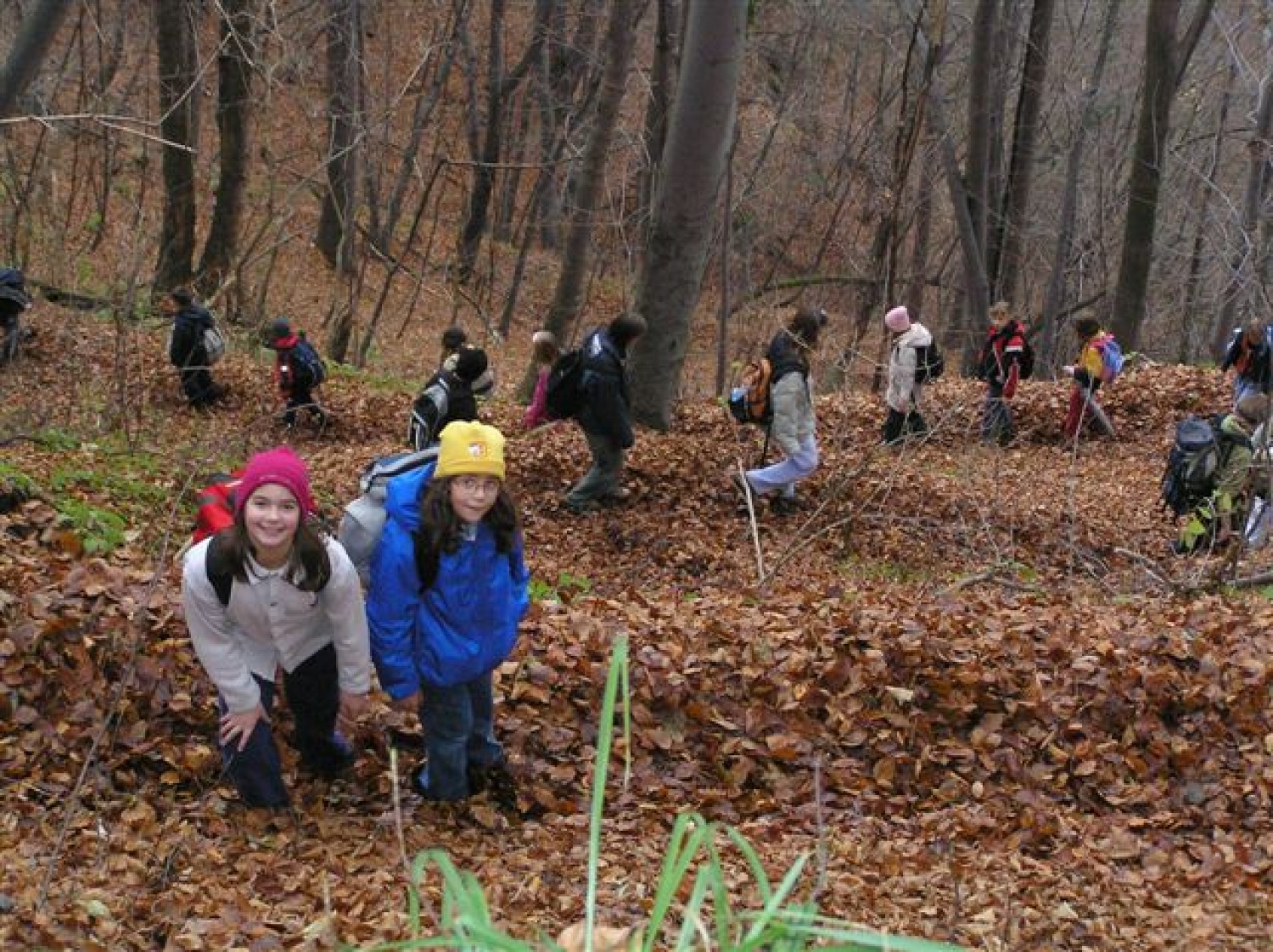 Nismo šli samo po nogah, ampak tudi po riti.