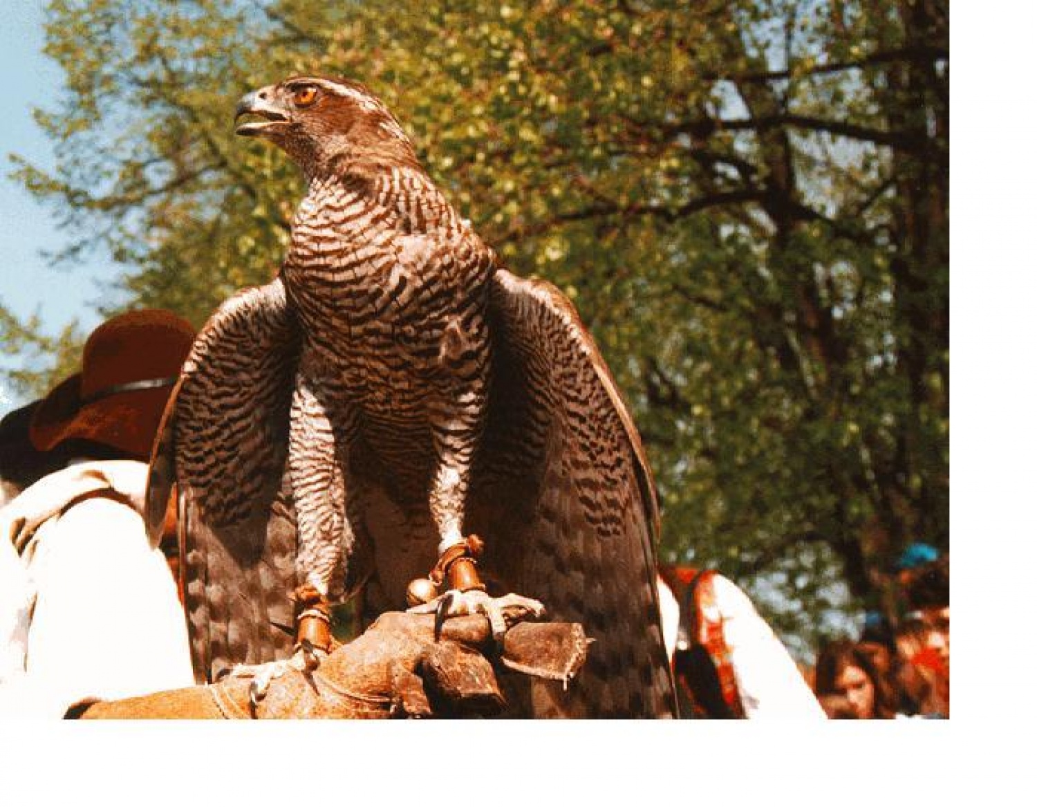 Moški del tehnične dvojice