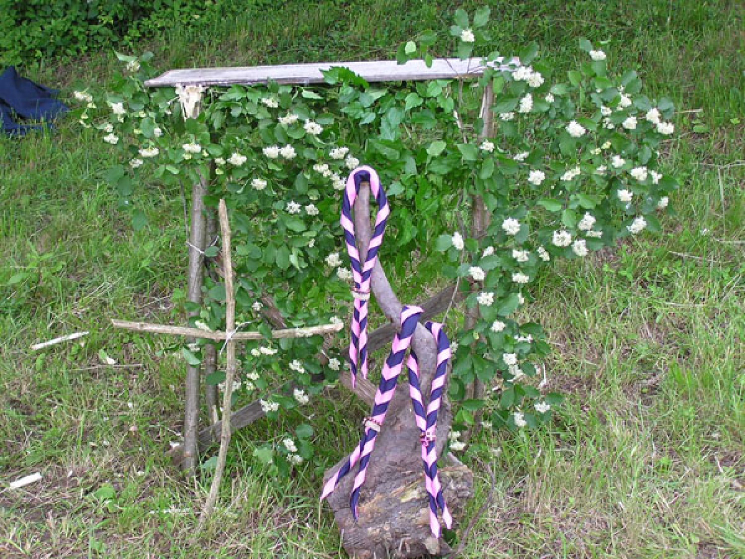 ne, ne, to ni Logatec