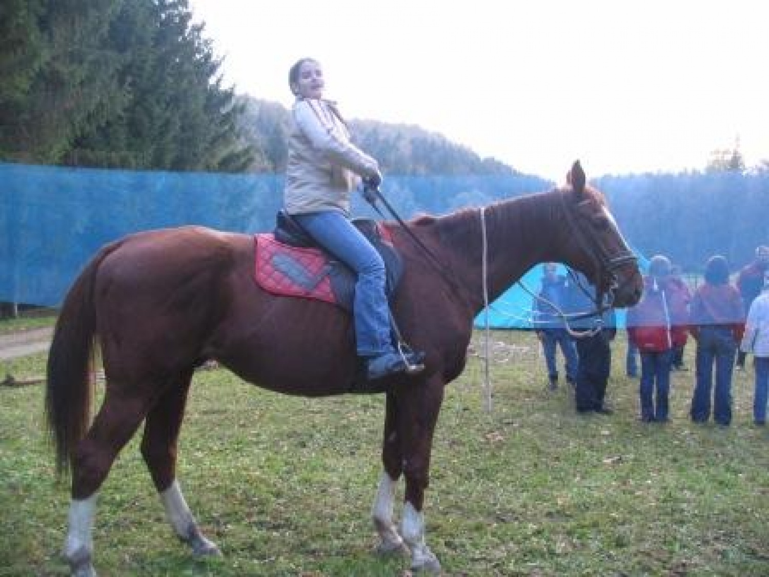 Rojena pozerka Urša