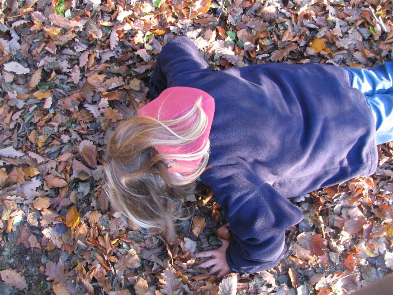 galereja nam pove kaj vse se je dogajalo na jesenovanju