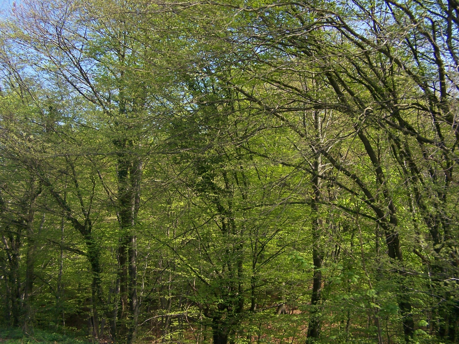 Načrtovanje in simbolne slike za TŠ POTA 2.