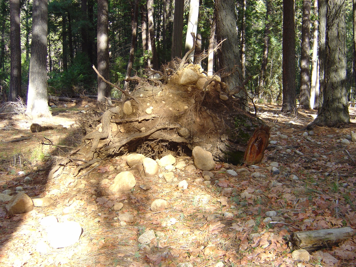 Načrtovanje in simbolne slike za TŠ POTA 2.
