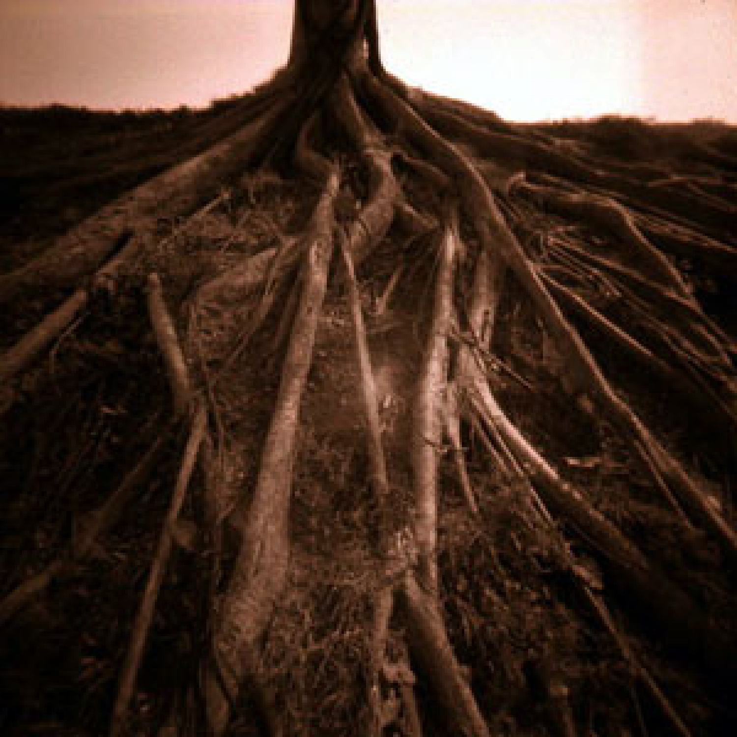 Načrtovanje in simbolne slike za TŠ POTA 2.