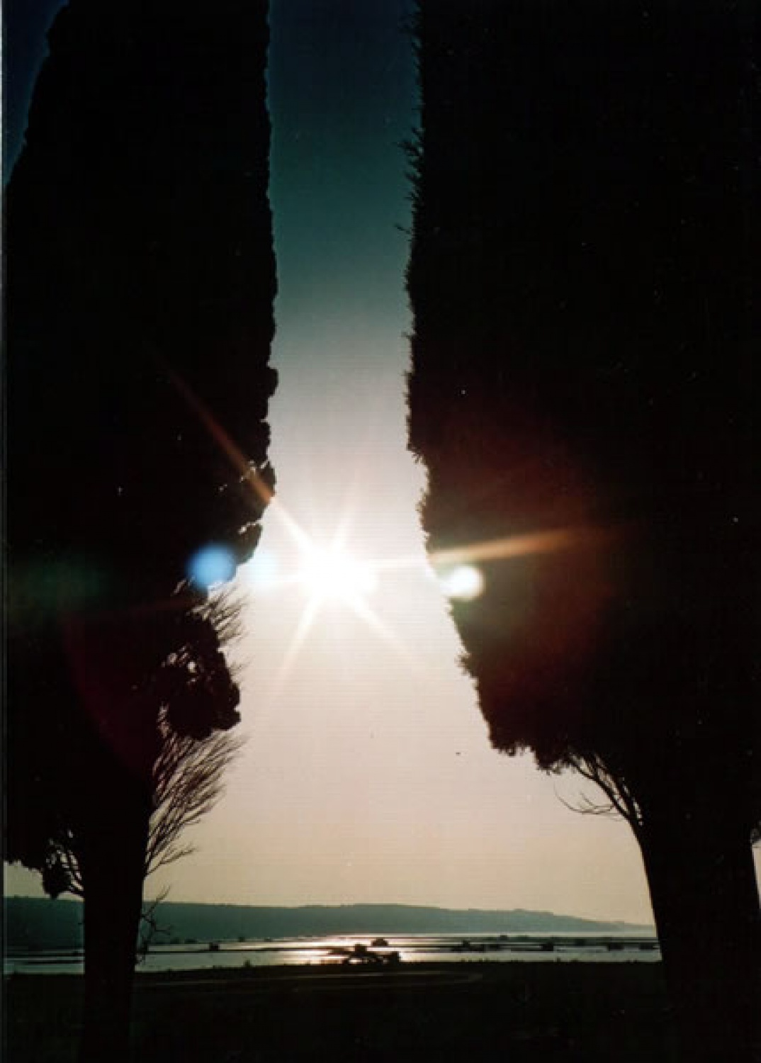 Nekaj slik za začetek in v vzpodbudo ;-)