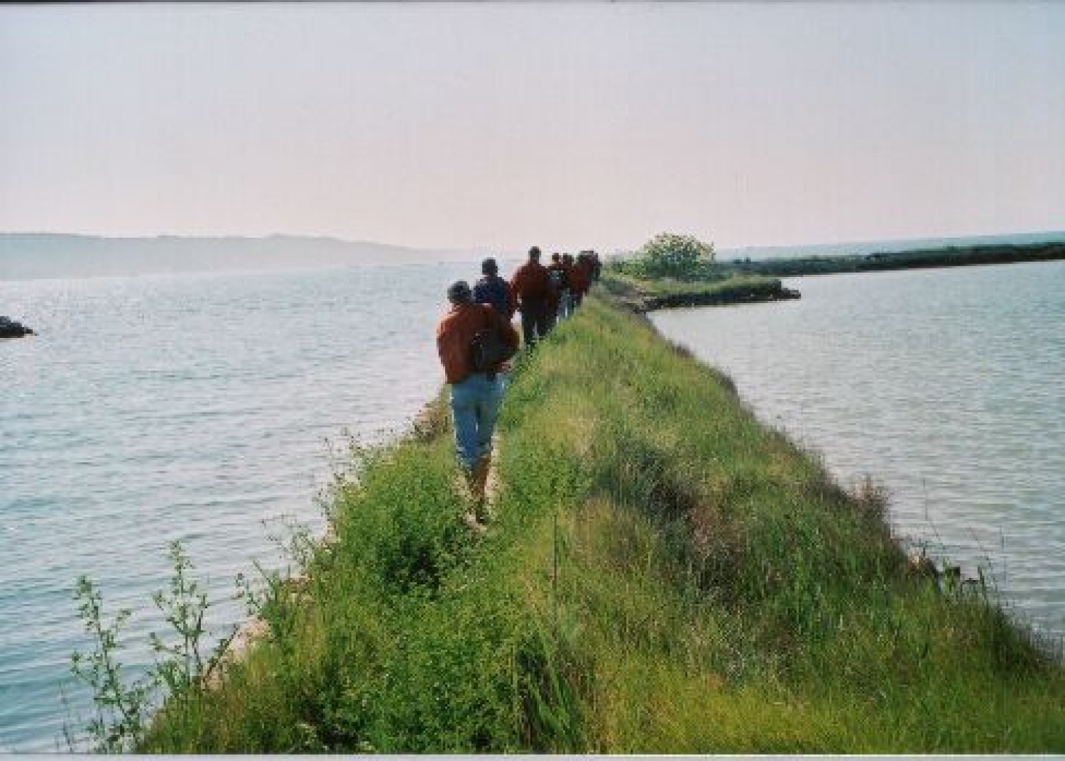 Nekaj slik za začetek in v vzpodbudo ;-)