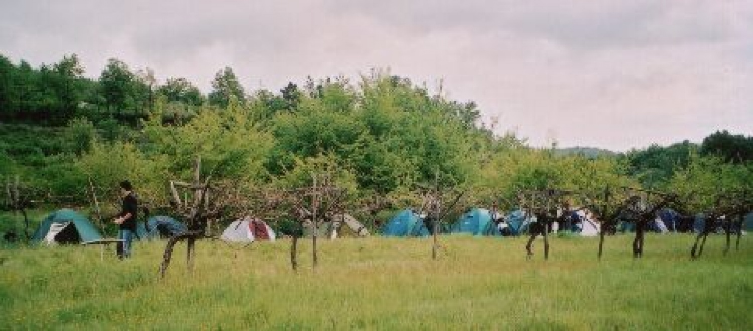 Nekaj slik za začetek in v vzpodbudo ;-)