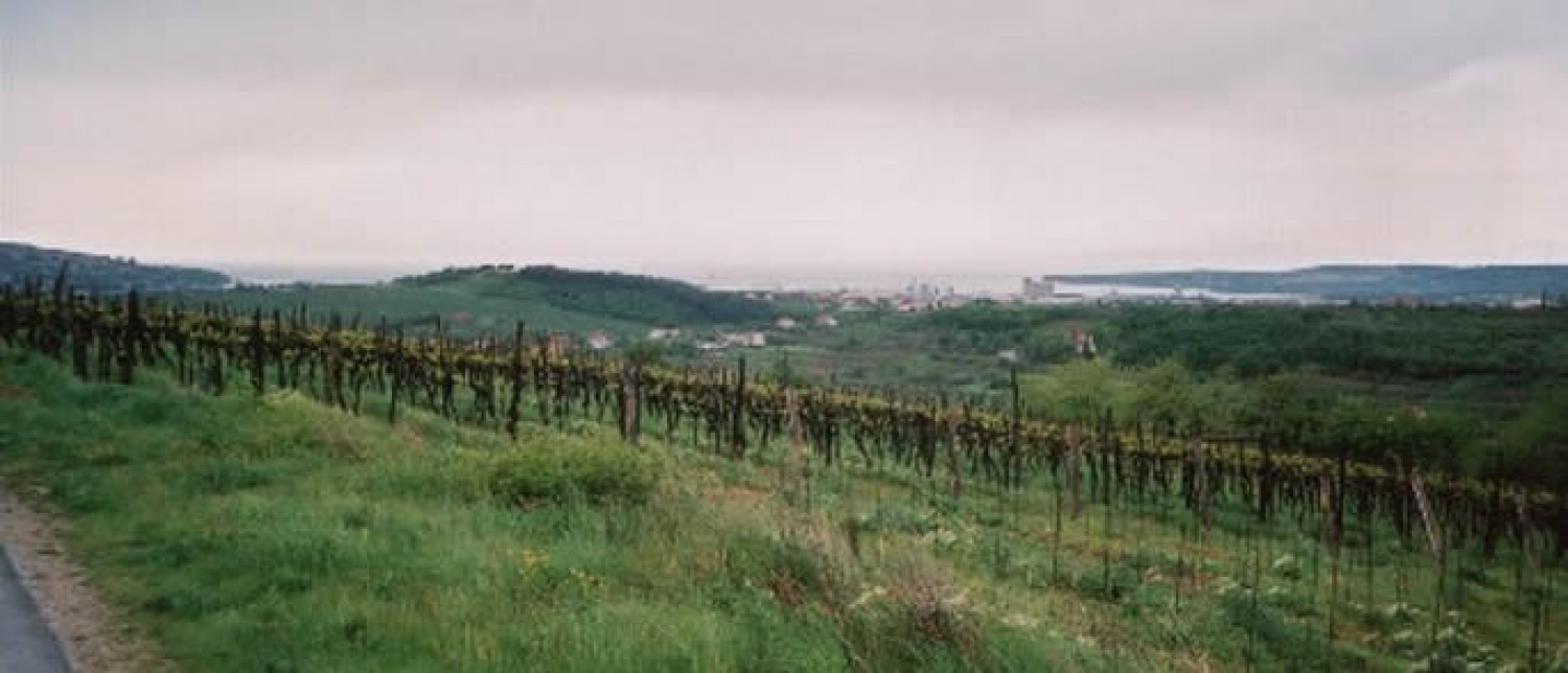 Nekaj slik za začetek in v vzpodbudo ;-)