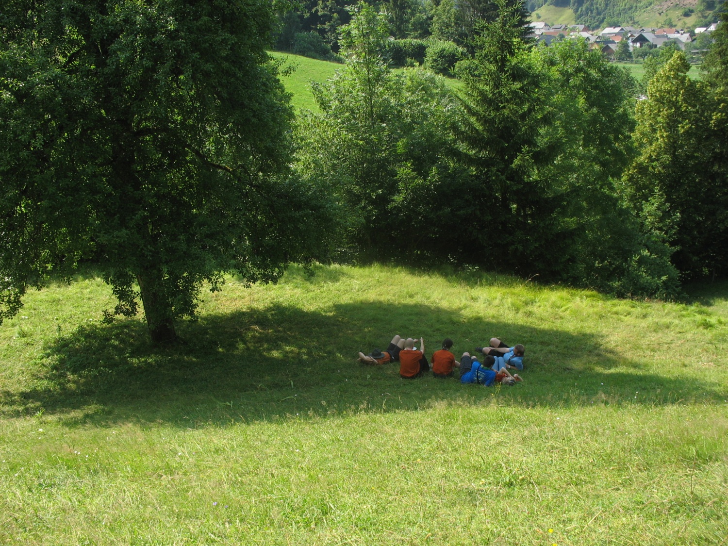 Načrtovanje Tš Miv 2006