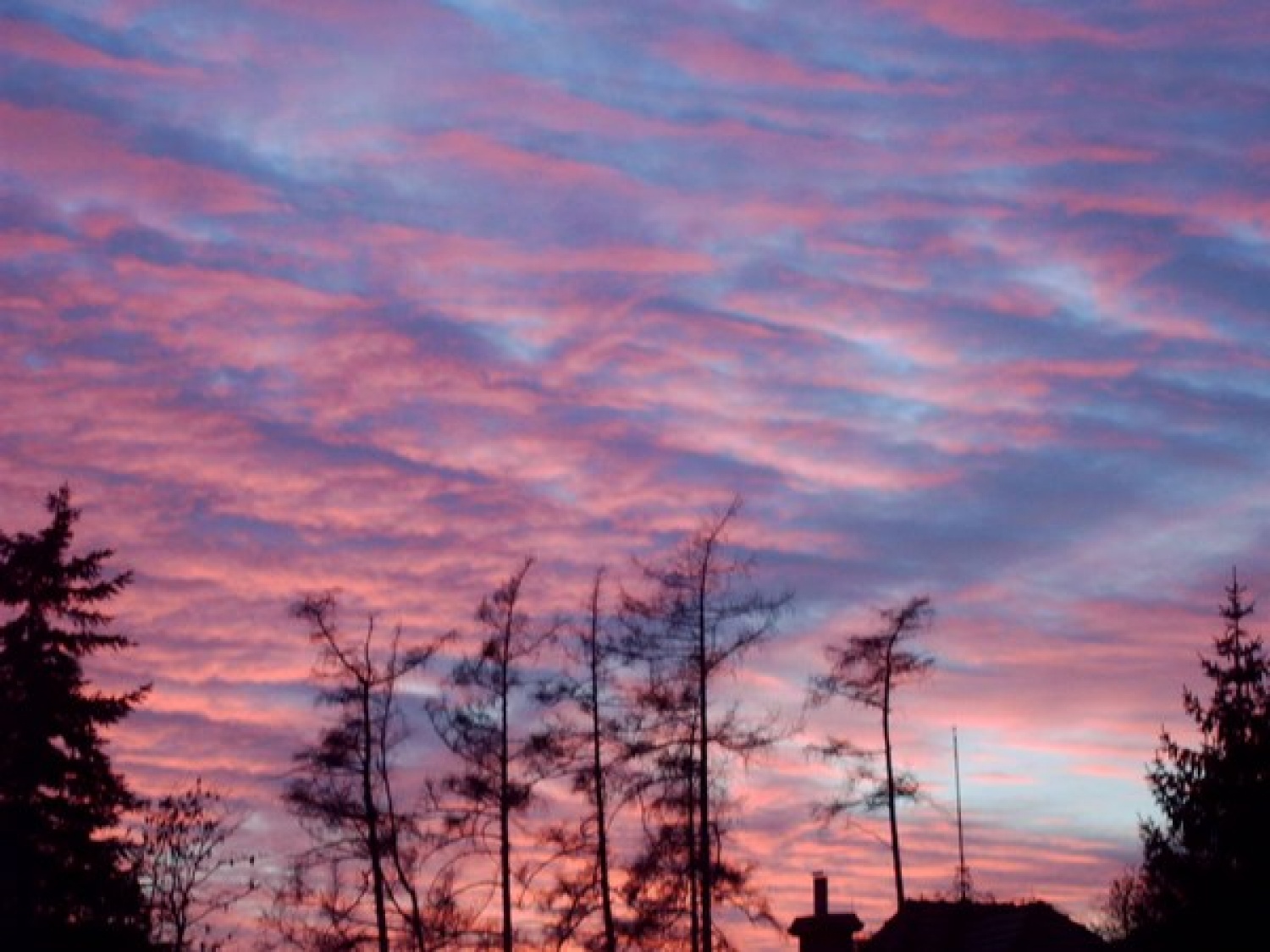 Slike s priprave taborne šole