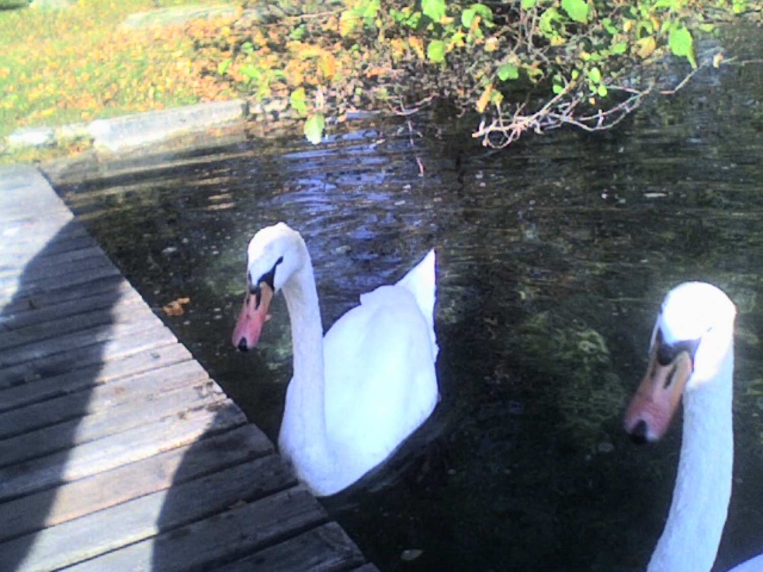 Le kdo so ti turisti s rutkami?