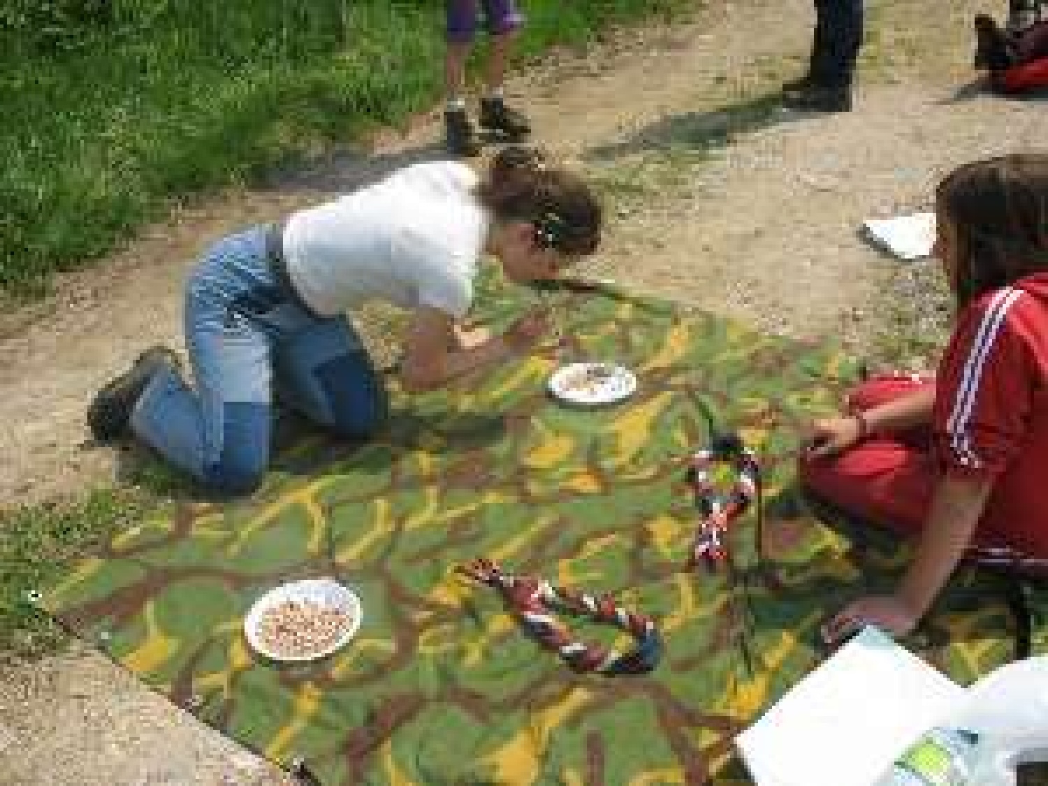 prenašanje fižolov