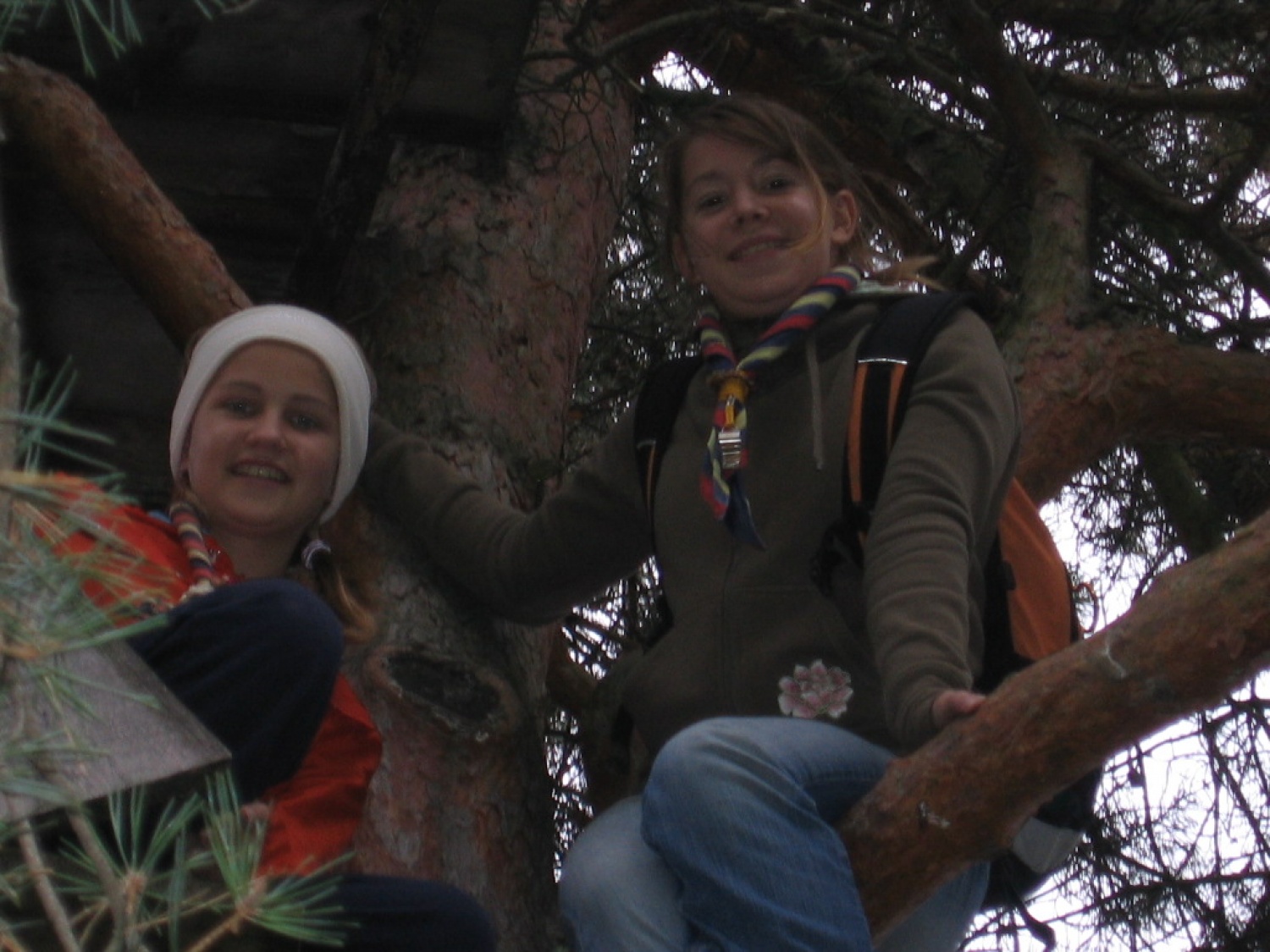 okupirana hišica na drevesu