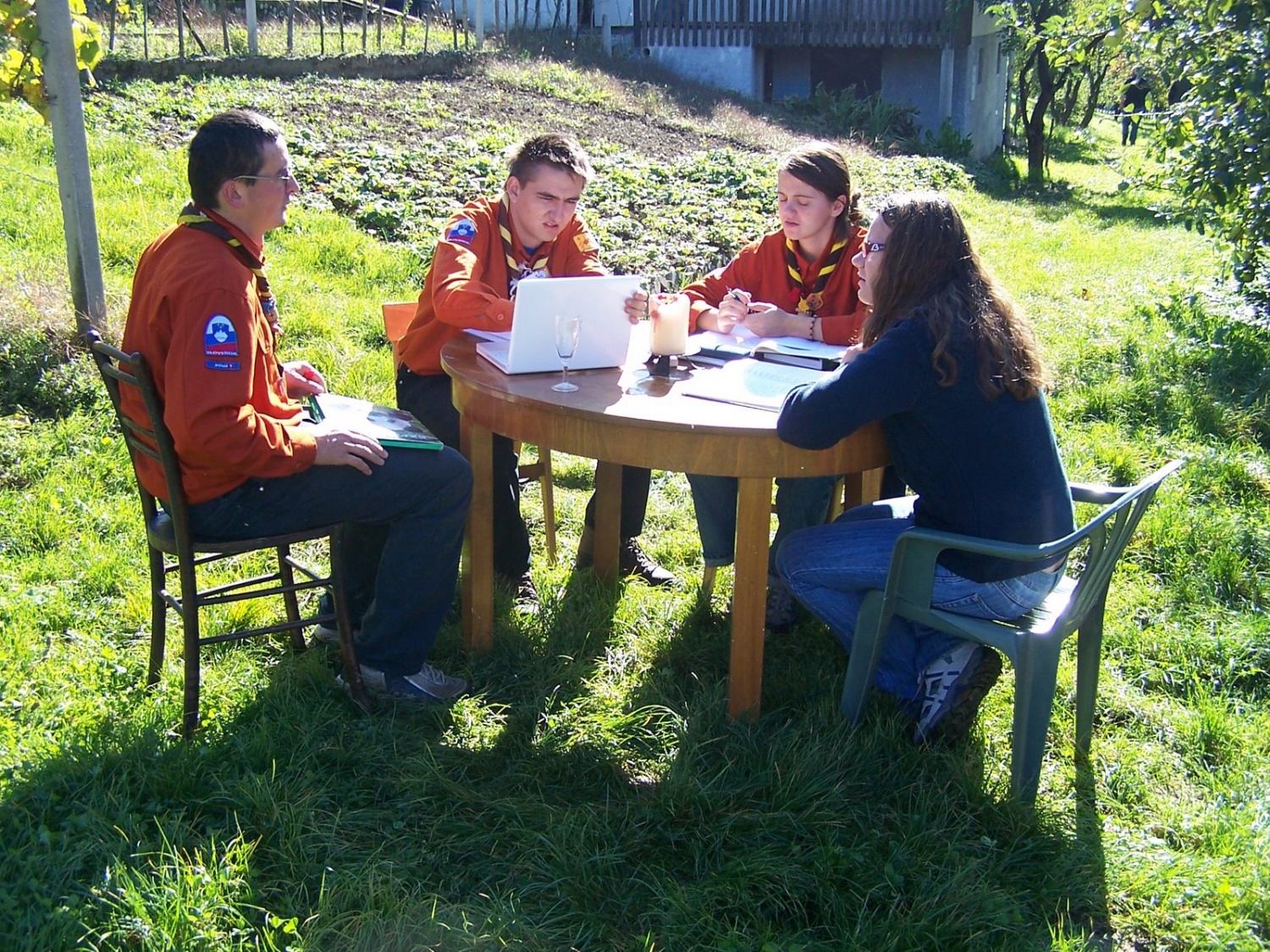 Načrtovanje po vejah (VV)