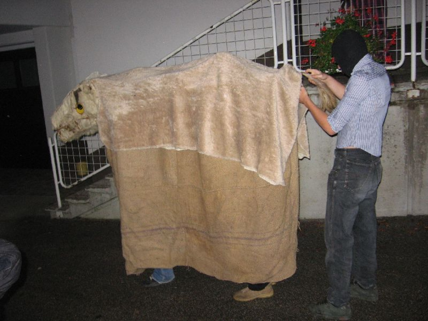 Peter: "Jaz, Peter, vzamem tebe, Karli, za svojo ženo in obljubljam, da ..."
Karli: "Jaz, Karli, vzamem tebe, Peter, za svojega moža in obljubljam, da ..."