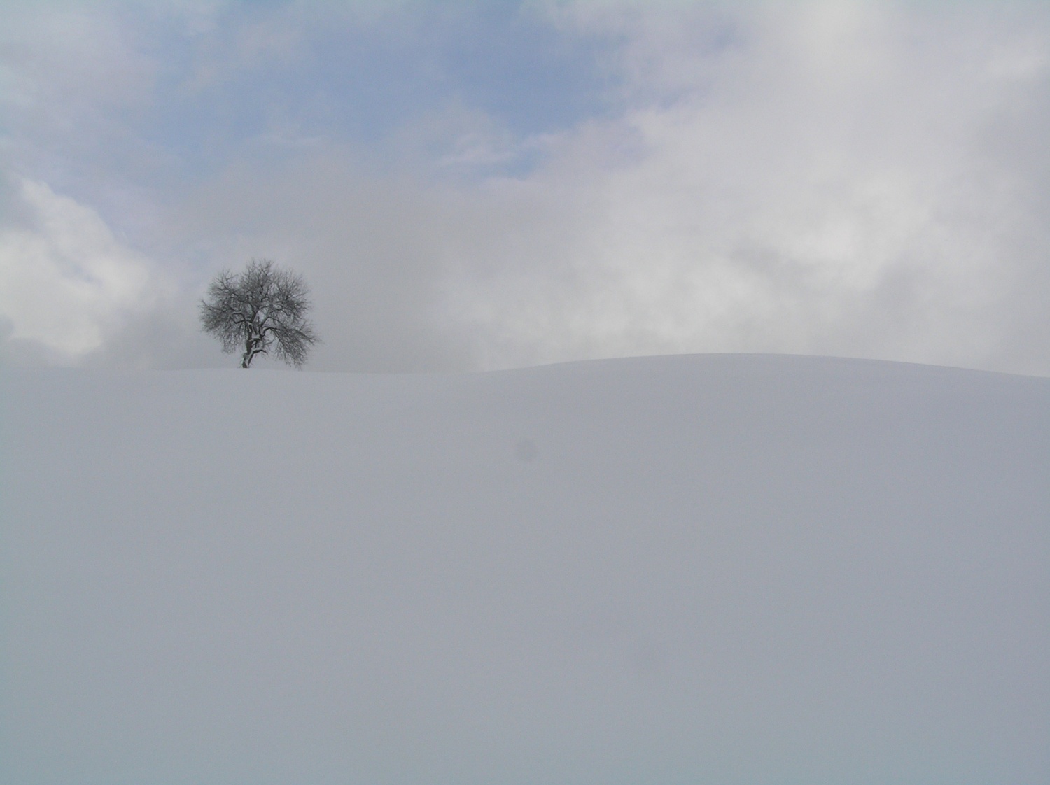 Zmagovalna fotografija v kategoriji "Okolje"