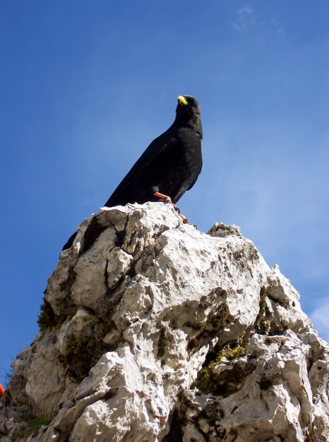 Planinski izlet stega Komenda 1 na Sleme!