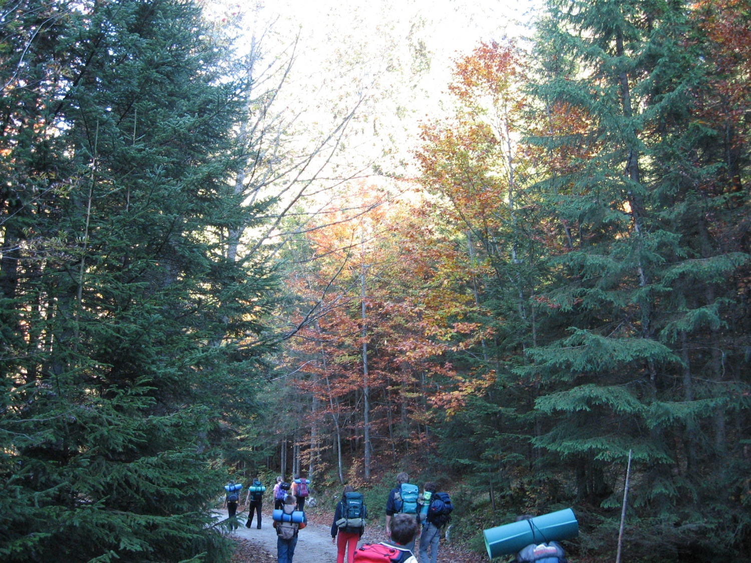 Nekaj dogodkov, ki smo jih doživeli in preživeli.