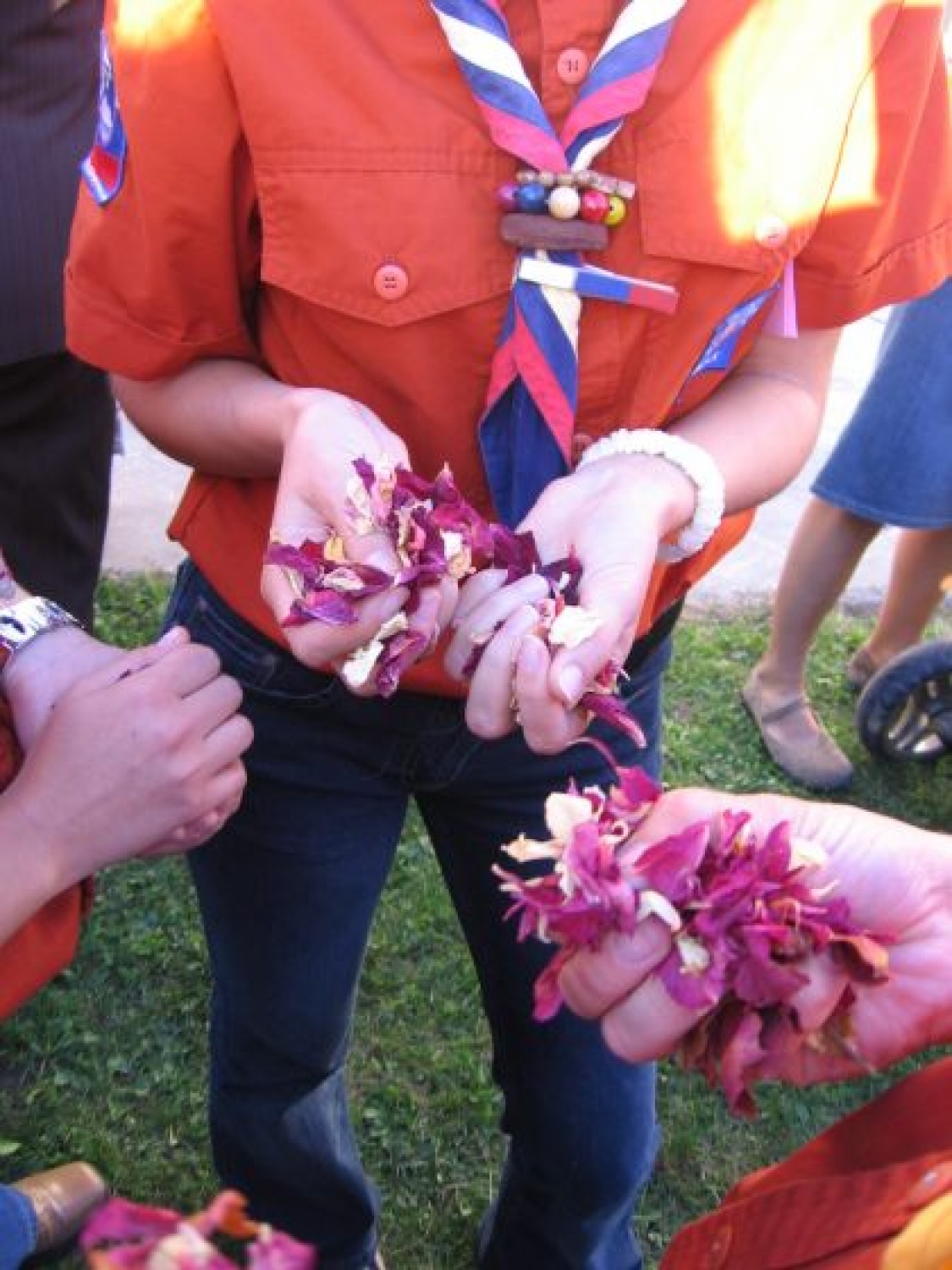 načrtovanje TŠ Združenja, poroka načelnika Slavka