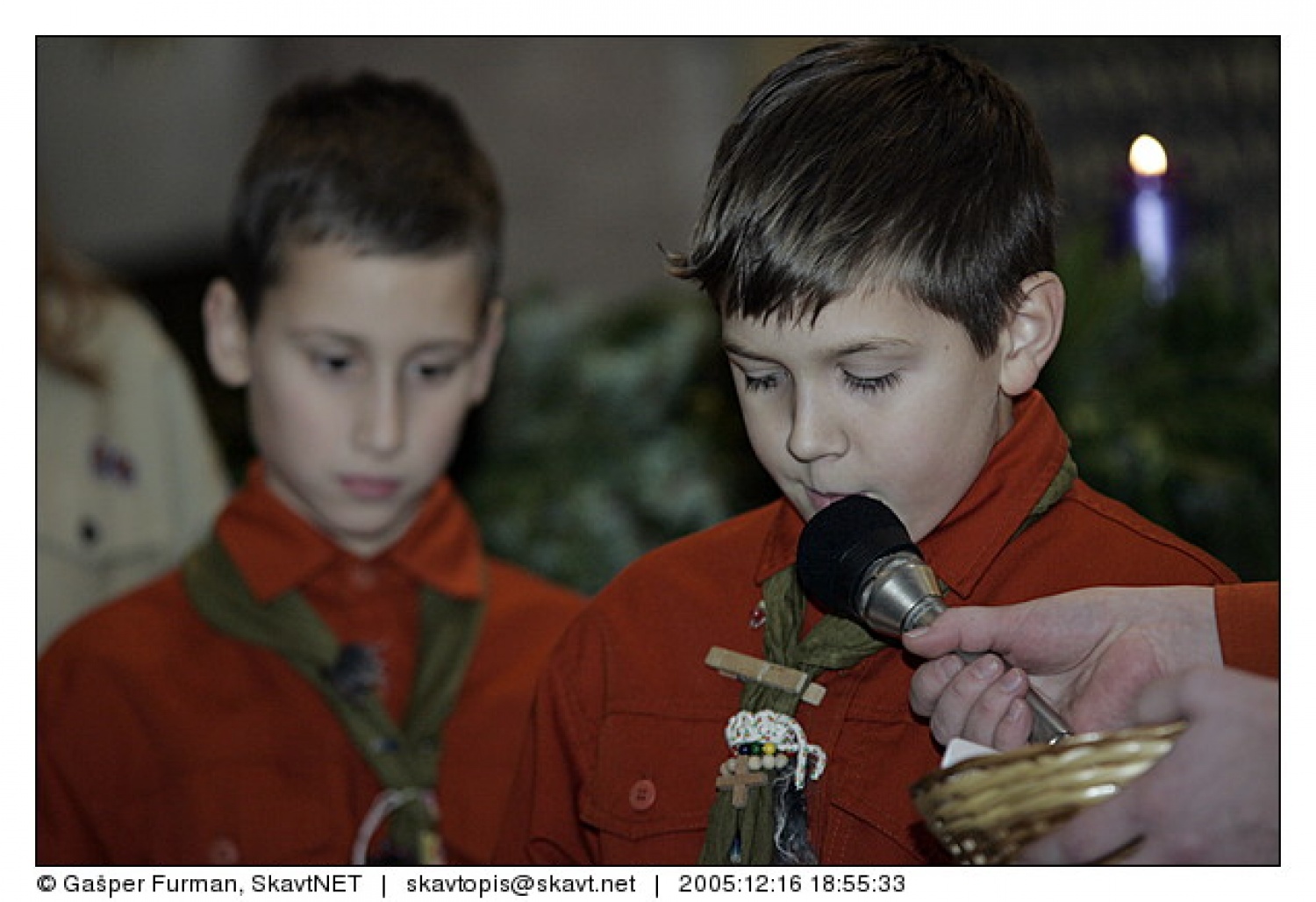 Prošnje II.- volčiči