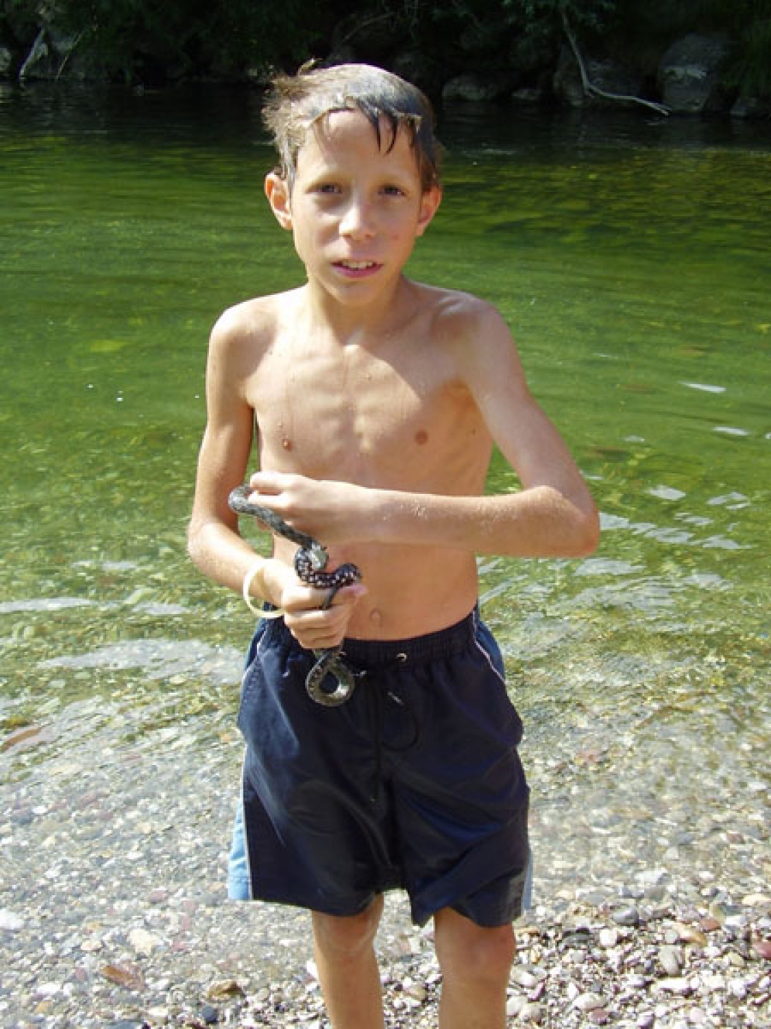 Kdo se boji kače? Mi že ne!