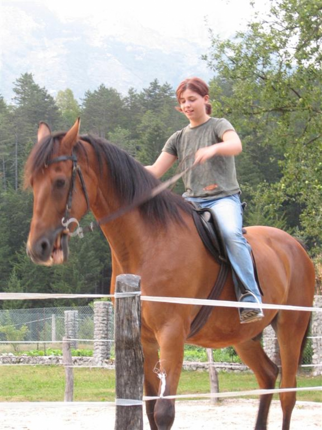 tabor cete mali indi