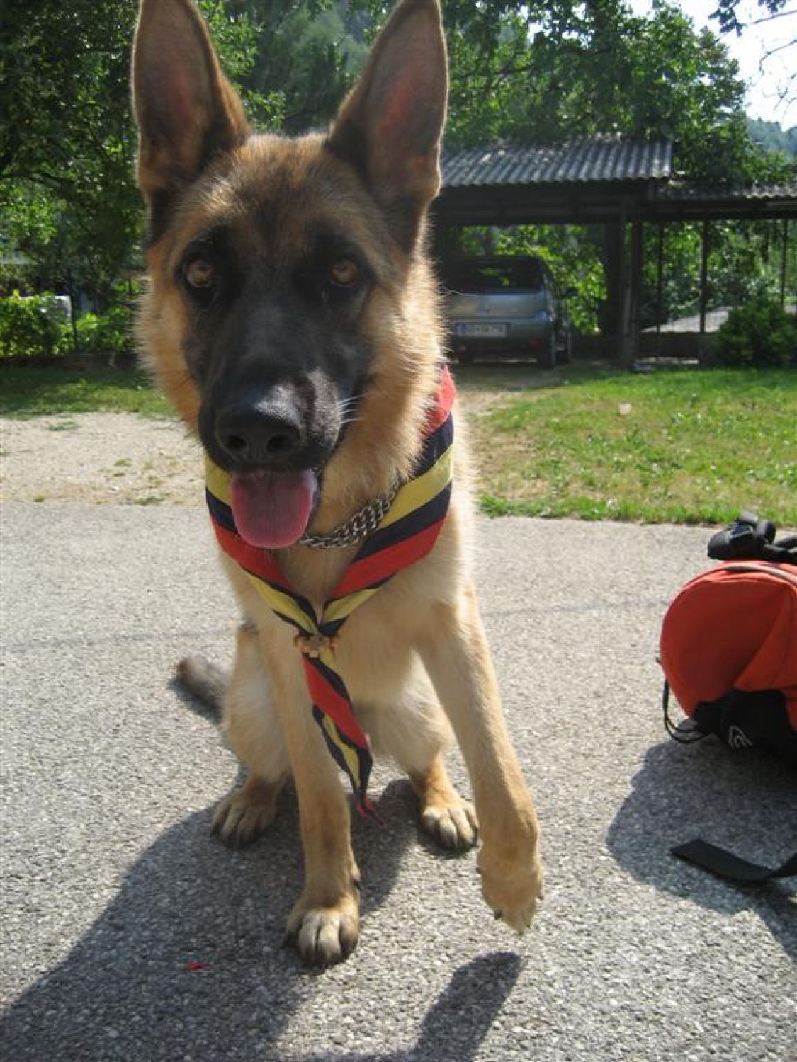 o, tegale pa ne poznam, pa sva iz istega stega